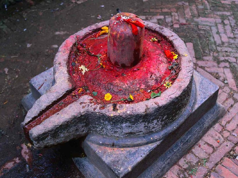 শিবলিঙ্গের জায়গা পরিবর্তন করা থেকে বিরত থাকুন৷ শিবলিঙ্গ যেখানে রাখবেন, সেখান থেকে বার বার তাঁকে স্থানচ্যুত করবেন না৷  যদি বিশেষ কারণে স্থান বদলাতেই হয় তবে শিবলিঙ্গটি সরানোর আগে তাকে গঙ্গাজল এবং ঠান্ডা দুধ দিয়ে স্নান করান এবং তারপরে স্থান পরিবর্তন করুন।