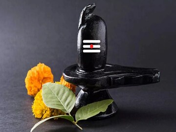 শ্রাবণ সোমবারের উপোস রাখবেন? মানুন বিশেষ রীতি, কোন খাবার ভুলেও ছোঁবেন না জানুন