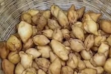 সিঙাড়ায় নেই আলুর পুর, তবে অন্য টানে জনপ্রিয় এই সিঙাড়া, জেনে নিন কোথায় পাবেন