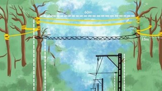 হলোঙ্গাপার গিবন অভয়ারণ্যে বৃক্ষচারী প্রজাতির চলাচলের সুবিধার জন্য ক্যানোপি ব্রিজ স্থাপন করল রেল