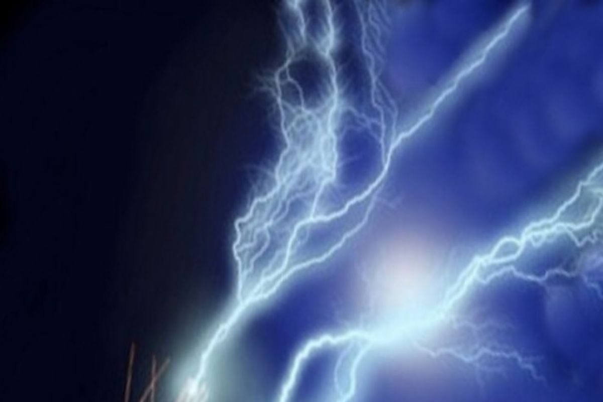 South Bengal News south-bengal-news