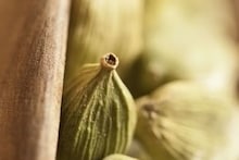 Weight Loss Tips: ওজন কমানো থেকে হজমশক্তি উন্নত! খালি পেটে এলাচ খাওয়ার বিস্ময়কর উপকার জানাচ্ছেন বিশেষজ্ঞরা