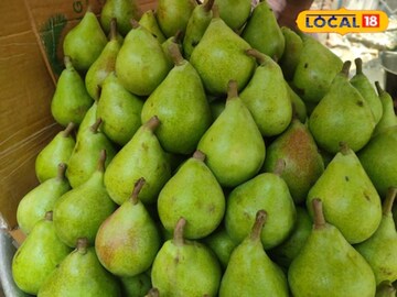 নাশপাতির মতো দেখতে কিন্ত নাশপাতি নয়! হাড় মজবুত করে ডায়াবেটিস, রক্তশূন্যতা দূরে রাখে, জানেন এই ফলের নাম কি?
