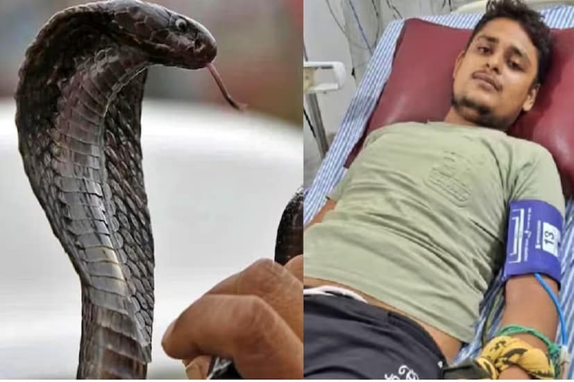 এই বিষয়টা খতিয়ে দেখার জন্য মেহান্দিপুর বালাজির একটি বিশ্রাম ঘরে পৌঁছেছিল NEWS18 টিম। আসলে ধর্মীয় স্থান পরিদর্শনে গিয়ে ওই বিশ্রাম ঘরেই বিশ্রাম নিচ্ছিলেন বিকাশ এবং তাঁর পরিবারের সদস্যরা। যদিও কিছু বলার অবস্থায় ছিলেন না ওই যুবক। তবে সাপে কাটার চিহ্ন তাঁর হাত-পায়ে স্পষ্ট ভাবে দেখা গিয়েছে। এই পরিস্থিতিতে খানিক জোরাজুরির পরে ক্যামেরার সামনে কথা বলতে রাজি হন বিকাশ। 