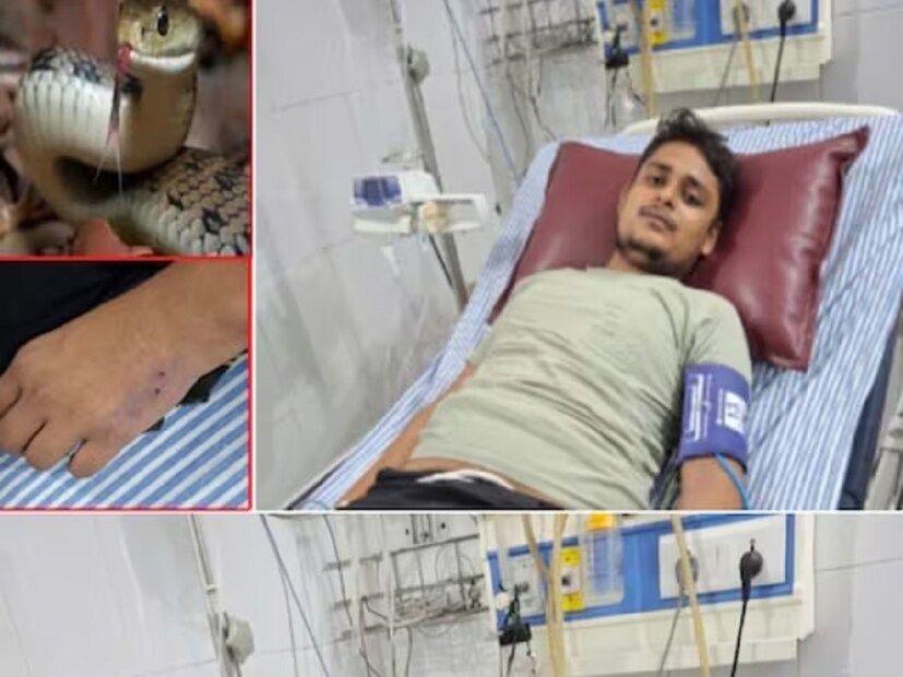 এই ঘটনার পরে ওই যুবক পরিবারের কাছে নিজের স্বপ্নের কথা জানান। এই পরিস্থিতিতে সাপের আতঙ্ক তৈরি হয় গোটা পরিবারে। এরপরে ২০০ কিলোমিটার দূরে ফতেহপুরে বিকাশকে তাঁর মাসির কাছে থাকার জন্য পাঠানো হয়। কিন্তু সাপটি সেখানেও তাঁর পিছু ছাড়েনি। গত ২৩ জুন অর্থাৎ শনিবার রাতে বিকাশ যখন ঘুমোচ্ছিলেন, তখন তাঁকে চতুর্থবারের জন্য কামড়ায় সাপটি। এমনটা ঘটার পরেই বিকাশের স্বপ্নের কথা বিশ্বাস করতে শুরু করেন তাঁর পরিবারের সদস্যরাও। এরপর তাঁকে ফতেহপুর থেকে কাকার বাড়িতে পাঠিয়ে দেওয়া হয়। যেখানে প্রত্যেকটা জায়গায় সিসিটিভি ক্যামেরা লাগানো ছিল। এমনকী যে ঘরে বিকাশকে রাখা হয়েছিল, সেই ঘরের নিরাপত্তা ছিল জোরালো। অথচ বিকাশের দাবি, পঞ্চমবারের জন্য তাঁকে সাপে কাটে। তিনি আরও বলেন, সাপটি এসে তাঁকে গত ৬ এবং ১১ জুলাই কামড়ায় তাঁর কাকার বাড়িতেই। আর এই ঘটনার পরে ভেঙে পড়েছেন ওই যুবক। 