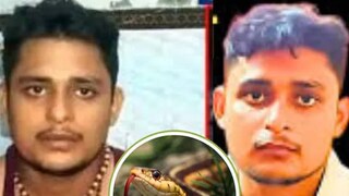 ৪০ দিনে ৭ বার সাপের কামড় খাওয়া যুবককে কোন প্রজাতির সাপ ছোবল মেরেছিল?