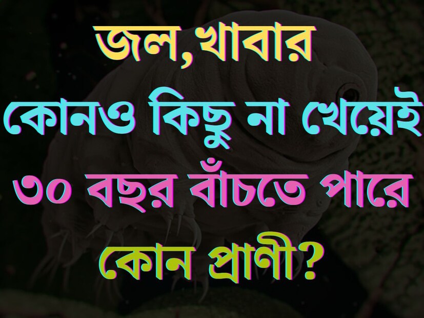 চাকরির পরীক্ষাতে সফল হতে গেলে জেনারেল নলেজ বা সাধারণ জ্ঞান ভাল হওয়া খুবই জরুরি। শুধু চাকরির পরীক্ষাই নয়, অনেকেই বিভিন্ন ধরণের ক‍্যুইজ কম্পিটিশনে যোগ দেন। জেনারেল নলেজ ভাল থাকলে ক‍্যুইজ কম্পিটিশনে প্রতিযোগীকে হারানোই মুশকিল।