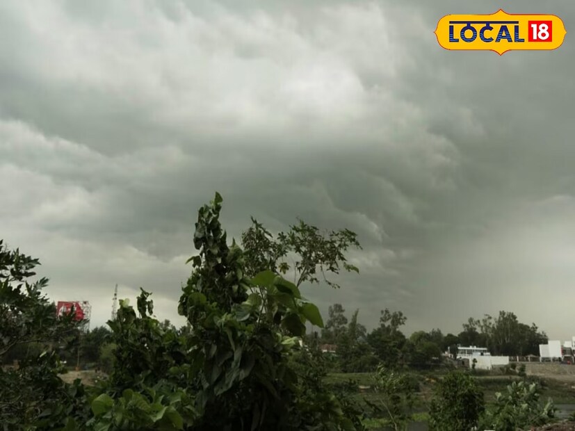 Bengal Rain Forecast: জুলাই মাসেও সেভাবে বৃষ্টির দেখা নেই দক্ষিণের জেলাগুলিতে। টানা ঝড়বৃষ্টির সম্ভাবনার কথা জারি হলেও বৃষ্টি হতে দেখা যায়নি দক্ষিণের কোনও জায়গাতেই। জেলা পুরুলিয়াতেও সেভাবে বৃষ্টির দেখা মেলেনি। (রিপোর্ট- শমিষ্ঠা ব্যানার্জি, ছবি প্রতীকী)