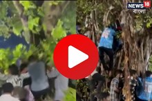 একী কাণ্ড..! টিম ইন্ডিয়ার 'প্যারেড' দেখতে এ কী করলেন ফ্যান? দেখুন ভাইরাল ভিডিও