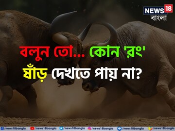 কোন 'রং' ষাঁড় দেখতে পায় না বলুন তো...? উত্তর শুনলে চমকে যাবেন, গ্যারান্টি!