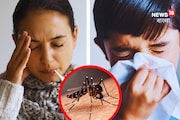 ভাইরাল জ্বর নাকি ডেঙ্গি? কী করে বুঝবেন? সাবধান! এই 'উপসর্গ' দেখলেই ছুটুন ডাক্তার