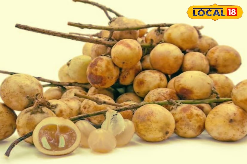 এতে অতিরিক্ত চিনির উপাদান নেই। লটকন ক্যালসিয়ামের ভালো উৎস এই ফল হাড় ও দাঁত শক্তিশালী রাখে।