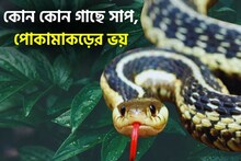 বর্ষায় সাপের ভয় শেষ! মশা, পোকামাকড়ও থাকবে দূরে, বাড়িতে কোন কোন গাছ লাগাবে