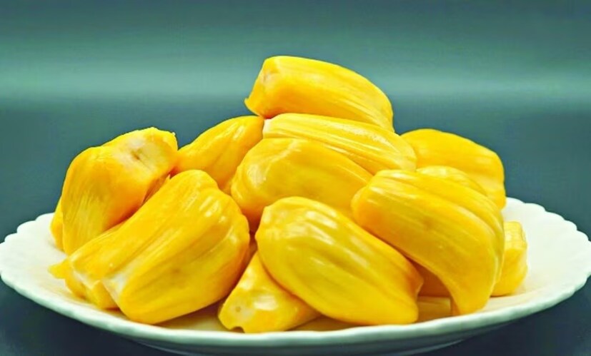 উত্তরটি হল,  কাঁঠাল হল বিশ্বের বৃহত্তম গাছ-বাহিত ফল, যার দৈর্ঘ্য দুই ফুট পর্যন্ত এবং ওজন ১৭-১৮ কেজি পর্যন্ত হতে পারে।