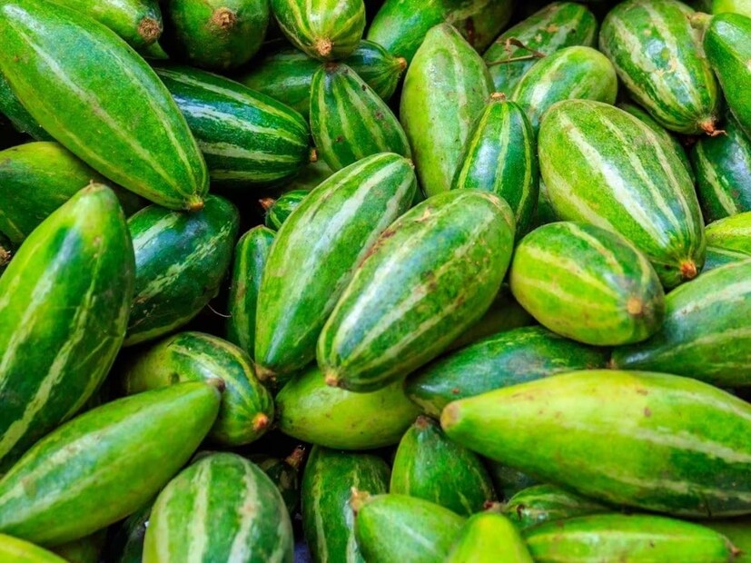 পটলের অ্যান্টি অক্সিড্যান্ট কমায় অক্সিডেটিভ স্ট্রেস ও ইনফ্লেম্যাশন। দূরে রাখে হৃদরোগের সমস্যাকে। পটলের পটাশিয়াম কমায় ব্লাড প্রেশার। কোলেস্টেরলও কম থাকে পটল খেলে।