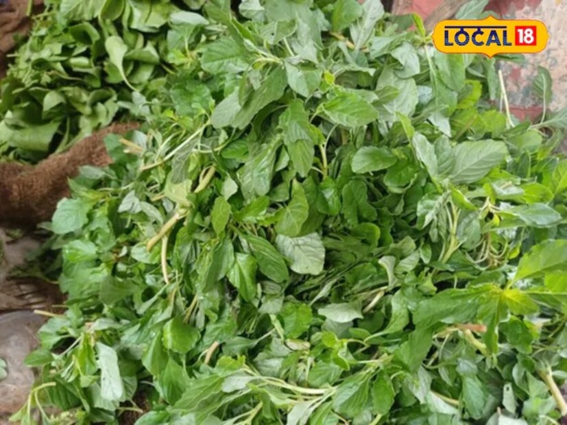 আয়ুর্বেদিক চিকিৎসক চন্দ্রপ্রকাশ দীক্ষিত Local18-এর কাছে বলেন যে, নটে শাক শুধুমাত্র সুস্বাদুই নয়, তা স্বাস্থ্যের জন্যও উপকারী বটে! এটি একাধিক পুষ্টিগুণে ভরপুর। এতে প্রচুর পরিমাণে ভিটামিন এ, ভিটামিন বি, ভিটামিন সি, প্রোটিন, কার্বোহাইড্রেট, আয়রন এবং ক্যালসিয়ামের মতো উপকারী উপাদান পাওয়া যায়। আর এই প্রতিটি উপাদানই আমাদের স্বাস্থ্য সংক্রান্ত নানাবিধ সমস্যা দূর করতে সাহায্য করে থাকে।