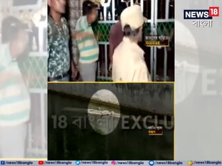 জামালের বাড়িতে বনদফতর