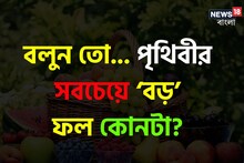 বাজার ভর্তি ফল! বলুন পৃথিবীর সবচেয়ে ‘বড়’ ফল কোনটা?