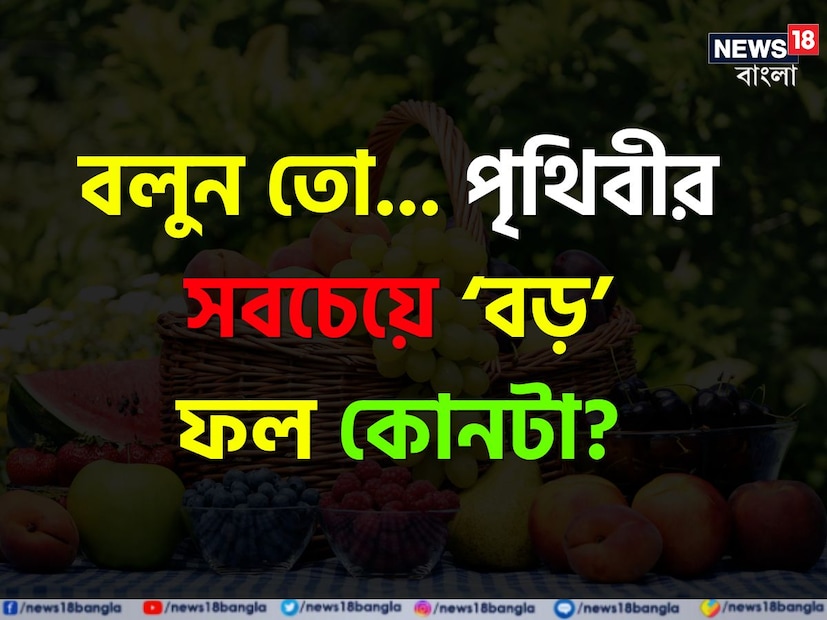 সারাবছর আমরা বাজারে নানা ফল দেখতে পাই। গরমকালে তো চারিদিকে উপচে পড়ে ফল। সুস্বাদও ফল খেতে আগ্রহী থাকেন সকলে।
