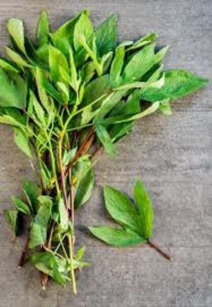 গ্লাইসেমিক ইনডেক্স অত্যন্ত কম। তাই ব্লাড সুগার কমাতেও উপকারী টক পালং। 