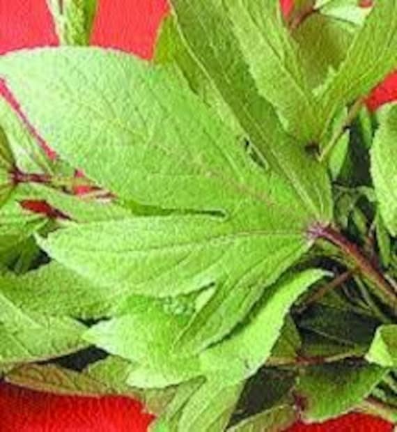 আয়রন পিলের পার্শ্ব প্রতিক্রিয়া ছাড়াই সারিয়ে দেয় কোষ্ঠকাঠিন্যের সমস্যা। 