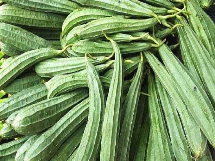 ফাইবার, ভিটামিন এ, ভিটামিন সি, আয়রন, ম্যাগনেসিয়াম, ভিটামিন বি-৬, পটাশিয়াম, সোডিয়াম, জিঙ্ক, কপার, সেলেনিয়াম প্রচুর পরিমাণে আছে ঝিঙেতে৷ 