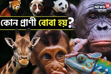 বলুন তো কোন প্রাণী বোবা হয়? চমকে দেওয়া উত্তর! ৯৯‍% লোকজন ভুল উত্তর দিয়েছেন
