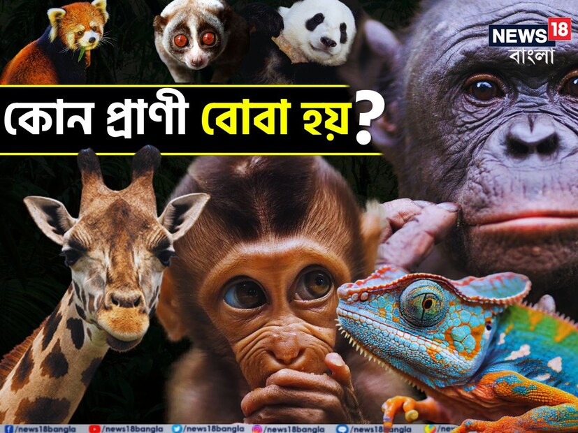 আমরা অনেকেই জানিনা কোন প্রাণী বোবা হয়? উত্তরটি খুবই সহজ কিন্তু আমাদের অনেকের অজানা।