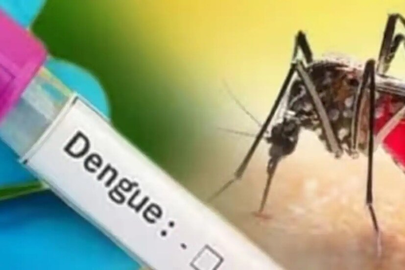 ডেঙ্গি জ্বরের লক্ষণ ও উপসর্গের পাশাপাশি আরও যে সমস্যাগুলো হয়, তা হল- শরীরের বিভিন্ন অংশ থেকে রক্ত পড়া শুরু হয়, যেমন চামড়ার নীচে, নাক ও মুখ দিয়ে, মাড়ি ও দাঁত থেকে, কফের সঙ্গে, রক্তবমি, মলের সঙ্গে তাজা রক্ত বা কালো পায়খানা, চোখের মধ্যে এবং চোখের বাইরে, মহিলাদের অসময়ে ঋতুস্রাব অথবা রক্তক্ষরণ শুরু হলে অনেকদিন পর্যন্ত রক্ত পড়তে থাকা ইত্যাদি।