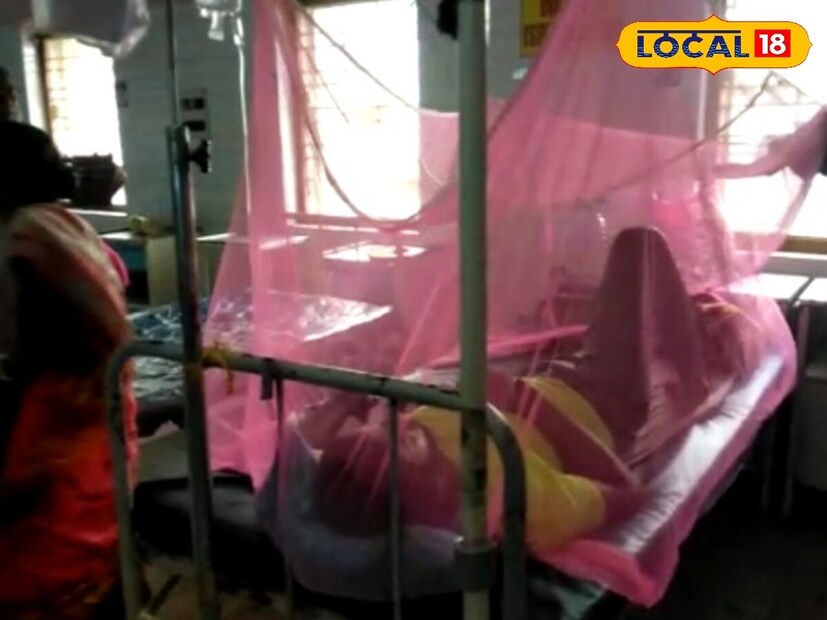 প্রতি বছর বর্ষার সময় ডেঙ্গির বাড়বাড়ন্ত দেখা যায়।এডিস ইজিপ্টাই নামক মশার কামড়ে ডেঙ্গি জ্বরের উৎপত্তি। ডেঙ্গি জ্বরের জীবাণুবাহী মশা কোনও ব্যক্তিকে কামড়ালে, সেই ব্যক্তি ৪ থেকে ৬ দিনের মধ্যে ডেঙ্গি জ্বরে আক্রান্ত হয়। ( প্রতিবেদন: জুলফিকার মোল্যা)