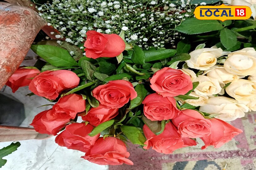 ‘‘খেয়াল রাখবেন যেখানে গোলাপের চারা লাগাচ্ছেন সেই জায়গাটি যেন পরিষ্কার থাকে। এই ভাবে যত্ন করতে পারলে আপনি একটি গাছ থেকে গড়ে ৪০-৫০ টি ফুল পেতে পারেন।&quot; বলছেন গোলাপ চাষ বিশেষজ্ঞ পুলক জোয়ারদার।