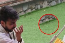 বিগবসের ঘরে সাপ! ভাইরাল ভিডিওতে দেখা গেল ভয়ঙ্কর ঘটনা! তারপর কী হল?