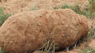 এটা কী! এটা কী!