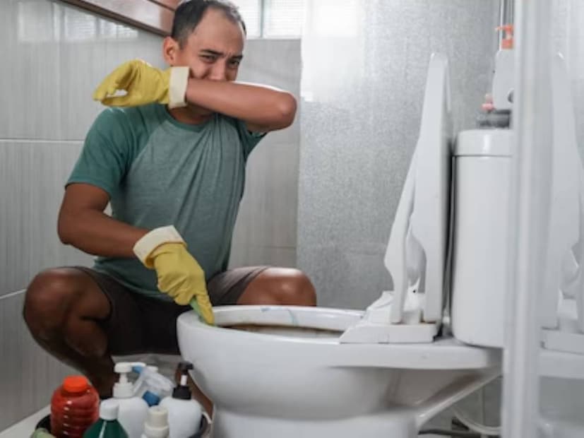 বাড়িতে হোক বা অফিসে, টয়লেট সবচেয়ে বেশি ব্যবহার করা হয় দিনে। একাধিক মানুষ সারাদিনে বেশ কয়েকবার ওয়াশরুমে যায়। একই ওয়াশরুম ব্যবহার করে অনেকে। ফলে নোংরা হতে বিশেষ সময় নেয় না। বাড়িতে হোক বা অফিসে, টয়লেট সবচেয়ে বেশি ব্যবহার করা হয় দিনে। একাধিক মানুষ সারাদিনে বেশ কয়েকবার ওয়াশরুমে যায়। একই ওয়াশরুম ব্যবহার করে অনেকে। ফলে নোংরা হতে বিশেষ সময় নেয় না।