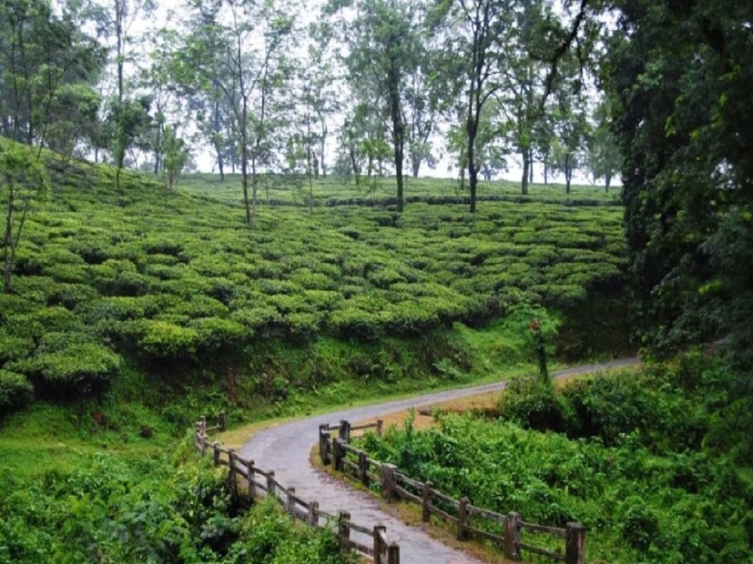দার্জিলিং: মেঘ আর কুয়াশায় মোড়া শৈলশহরের তাপমাত্রা থাকবে ১৬ ডিগ্রির কাছাকাছি। এখানেও সারাদিন বৃষ্টির সম্ভাবনা রয়েছে।