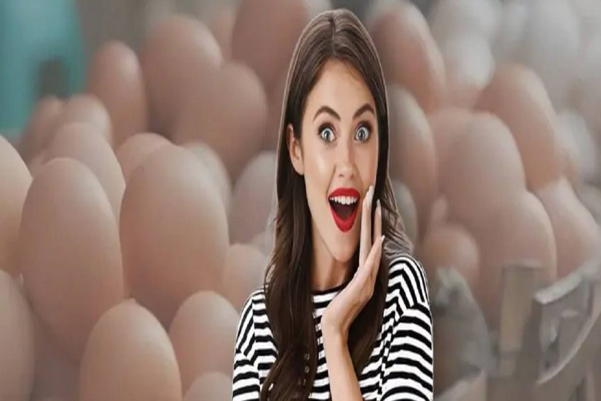 ডিম খেতে ভালবাসেন? বলুন তো, ভারতের 'ডিমের ঝুড়ি' বলা হয় কোন রাজ্যকে? চমকে উঠবেন