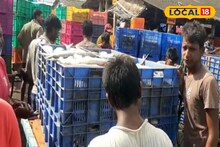 মাছ চাষে মিলবে বাড়তি মুনাফা, ভারত সরকারের বাজেটে খুশী মৎস্যজীবীরা