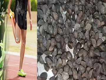 ভাঙা হাড় জোড়ে! অমূল্য এই গাছ আলসার সারায় ম্যাজিকের মতো, আজই খুঁজে বাড়িতে আনুন ভাঙা হাড় জোড়ে! অমূল্য এই গাছ আলসার সারায় ম্যাজিকের মতো, আজই খুঁজে বাড়িতে আনুন