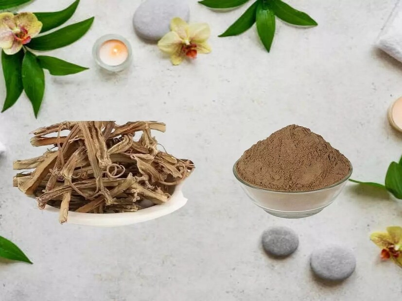 *পেটের গ্যাসের মতো সমস্যা সারাতে এই ঘরোয়া উপায়টি ব্যবহার করতে পারেন। ক্ষত শুকাতেও হাড়জোড় কার্যকর। পোকামাকড়ের কামড়ের কারণে ক্ষত হলে সেই স্থানে এই ভেষজের রস লাগাতে হবে। এর সাহায্যে ক্ষত দ্রুত সেরে যায়। সংগৃহীত ছবি। 