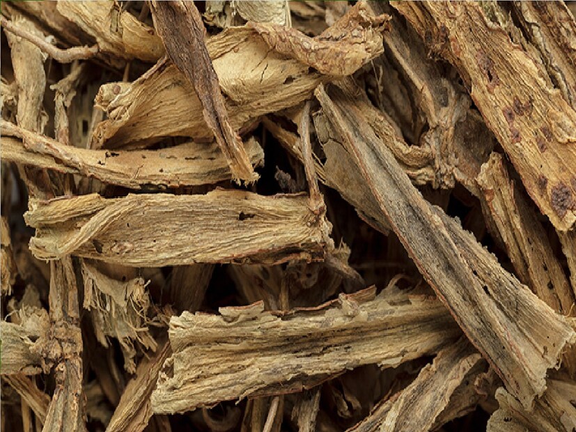 *হাড়জোড় থেকে তৈরি ওষুধ আমাদের পরিপাকতন্ত্রকেও শক্তিশালী করে। আয়ুর্বেদিক চিকিৎসক ডাঃ. সুনীতা সোনম ধামার সঙ্গে আলোচনাকালে তিনি বলেন, হাড়জোড়, নাম থেকেই বোঝা যায়, হাড়ের সংযোগে কার্যকর। সংগৃহীত ছবি। 