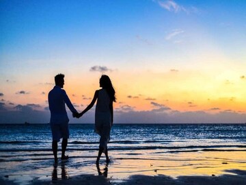 বাড়বে যৌন ক্ষমতা! এই পাতার রস খুবই উপকারী, পাওয়া যায় সহজেই