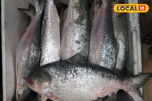 সামুদ্রিক মাছে কর কমেছে বাজেটে, এবার হুহু করে দাম কমবে বাঙালির প্রিয় ইলিশের?