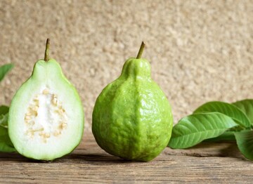 শুধু পেয়ারা নয়, এই ফলের পাতা ক্যানসার-ডায়াবেটিসের যম! কীভাবে খাবেন? জানুন শুধু পেয়ারা নয়, এই ফলের পাতা ক্যানসার-ডায়াবেটিসের যম! কীভাবে খাবেন? জানুন