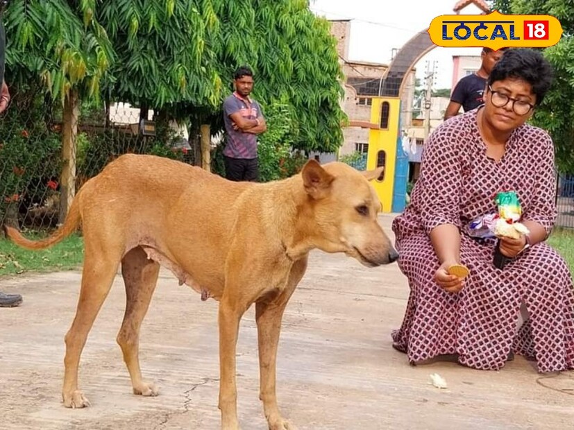 কলকাতা পুরসভাকে অবস্থান জানাতে নির্দেশ দিয়েছে হাইকোর্ট। রাজ্যে পুর দফতরকেও অবস্থান জানাতে নির্দেশ দিয়েছেন বিচারপতি তীর্থঙ্কর ঘোষ। নির্দিষ্ট অফিসারের মাধ্যমে অবস্থান জানানোর কাজটি করতে হবে আগামী ২৭ নভেম্বরের মধ্যে। 