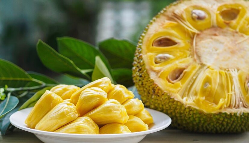 মস্তিষ্কের জন্য উপকারী পাকা কাঁঠাল ম্যাগনেসিয়াম সমৃদ্ধ, যা স্নায়ু কোষের ভারসাম্য বজায় রাখতে সাহায্য করে৷ স্নায়বিক ভারসাম্য বজায় রাখার মাধ্যমে, মন স্থিতিশীল এবং শান্ত থাকে, যা মানসিক চাপও কমায়৷