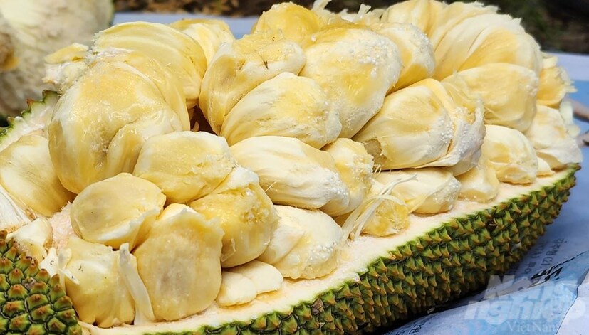 ভিটামিন সমৃদ্ধ পাকা কাঁঠাল ভিটামিন এ, ভিটামিন সি এবং ভিটামিন ই এর ভাল উৎস৷ এই সমস্ত ভিটামিন আপনার রোগ প্রতিরোধ ক্ষমতা বাড়াতে সাহায্য করতে পারে, যা অনেক মৌসুমি রোগের ঝুঁকি কমায়৷ 