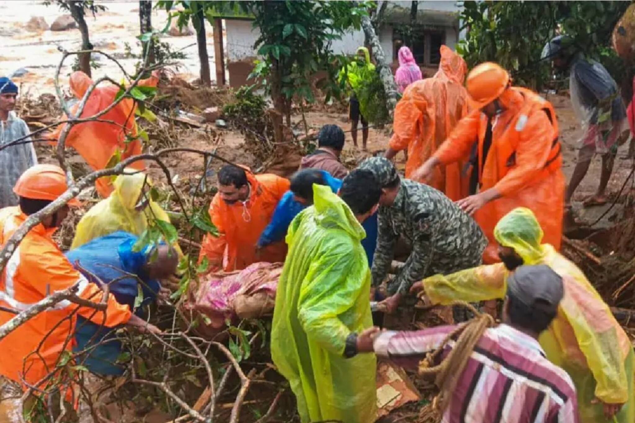 'ঈশ্বরের দেশ' এক রাতে লন্ডভন্ড! ওয়ানাড়ে ভয়ঙ্কর বিপর্যয়ের বড় কারণ ফাঁস