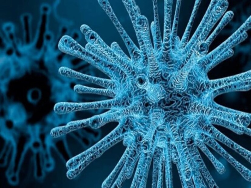 পেঁপের মতো পেঁপে পাতাও রোগ প্রতিরোধ ক্ষমতা বৃদ্ধি করে, শরীর থেকে টক্সিন বাইরে বার করে দেয়। সংক্রমণজাতীয় রোগের সঙ্গে লড়াই করতে শরীরে শক্তি জোগায় এই পাতা।