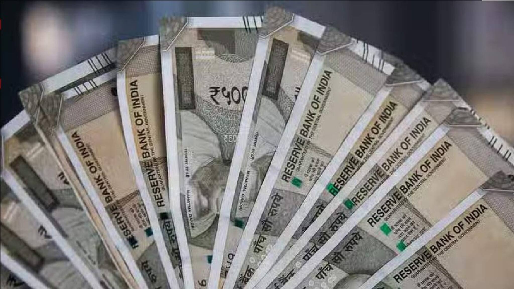 বাড়িতে সত্যিই টাকার গাছ লাগাতে চান? এটাই টাকার গাছ! ৪০ হাজার ব্যয়ে ২ লক্ষ লাভ