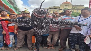 মশা সেজে ডেঙ্গি সচেতনতার প্রচারও করবেন, আবার দলনেত্রীর ভাষণও শুনবেন। 